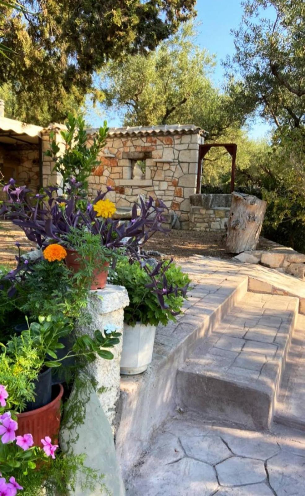 Lithakia  Odysseas Studios מראה חיצוני תמונה